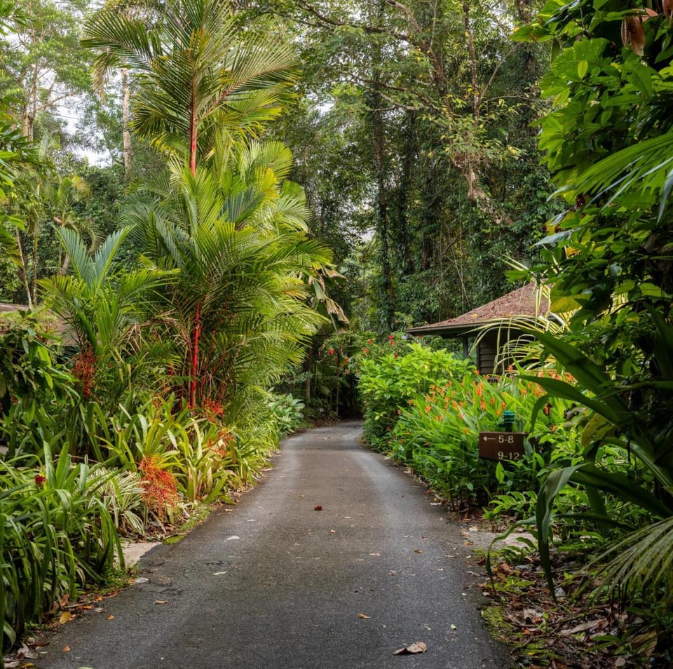 Heritage Lodge - in the Daintree Lodge in Diwan