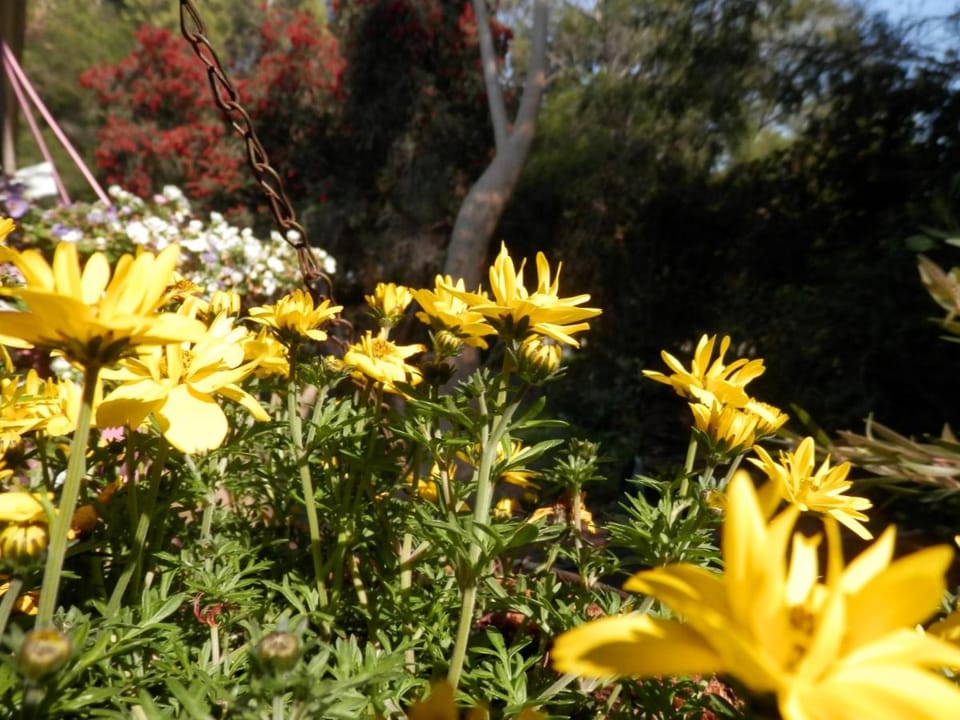 The Hideaway Luxury B&B Retreat Bed and Breakfast in Kelmscott