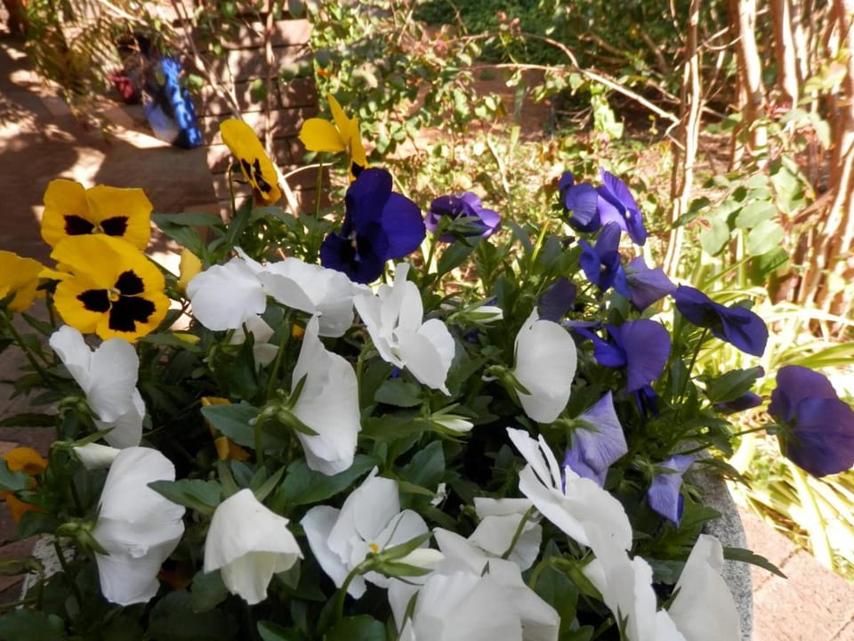 The Hideaway Luxury B&B Retreat Bed and Breakfast in Kelmscott