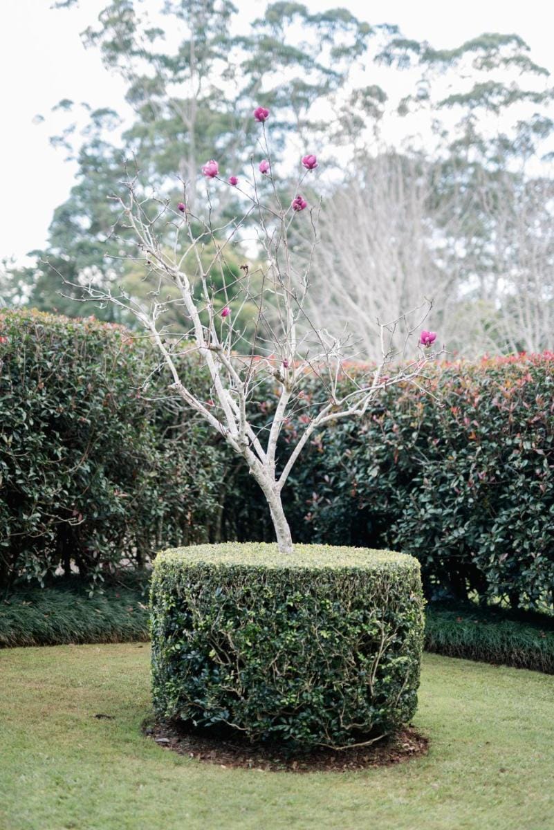 Shambala Estate Cottages Lodge in Tamborine Mountain