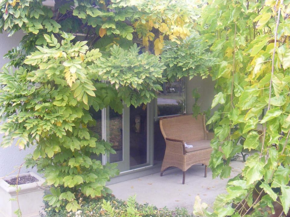 Weeroona Bed And Breakfast Bed and Breakfast in Melbourne