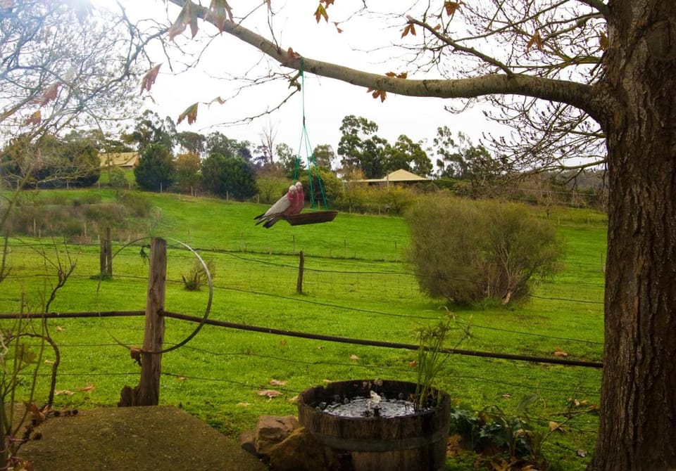 Amble at Hahndorf Bed and Breakfast in Hahndorf