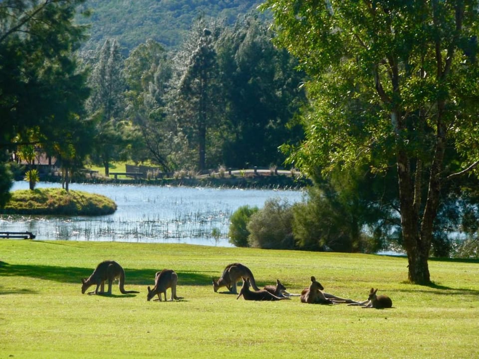 Kangaroo Valley Timber Cabin Vacation rental in Kangaroo Valley