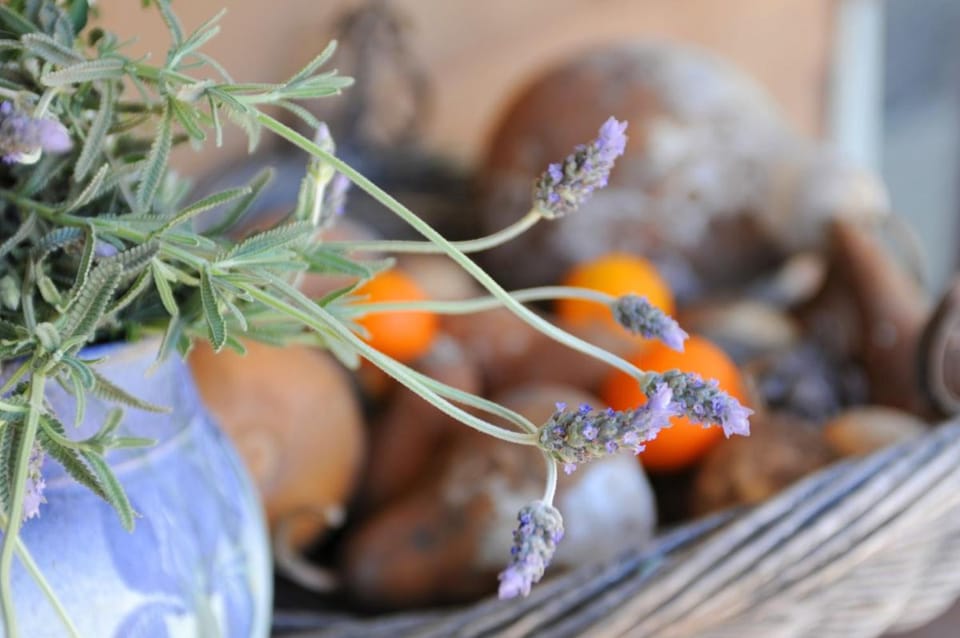 Lavender Farm Vacation rental in Badger Creek