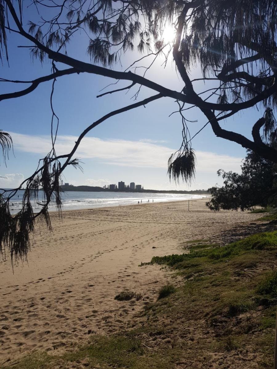 Excellsior Apartments Apartment hotel in Sunshine Coast