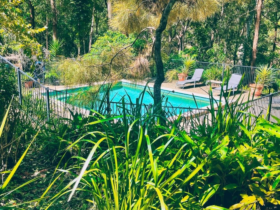 Wallaby Ridge Retreat Bed and Breakfast in Tamborine Mountain