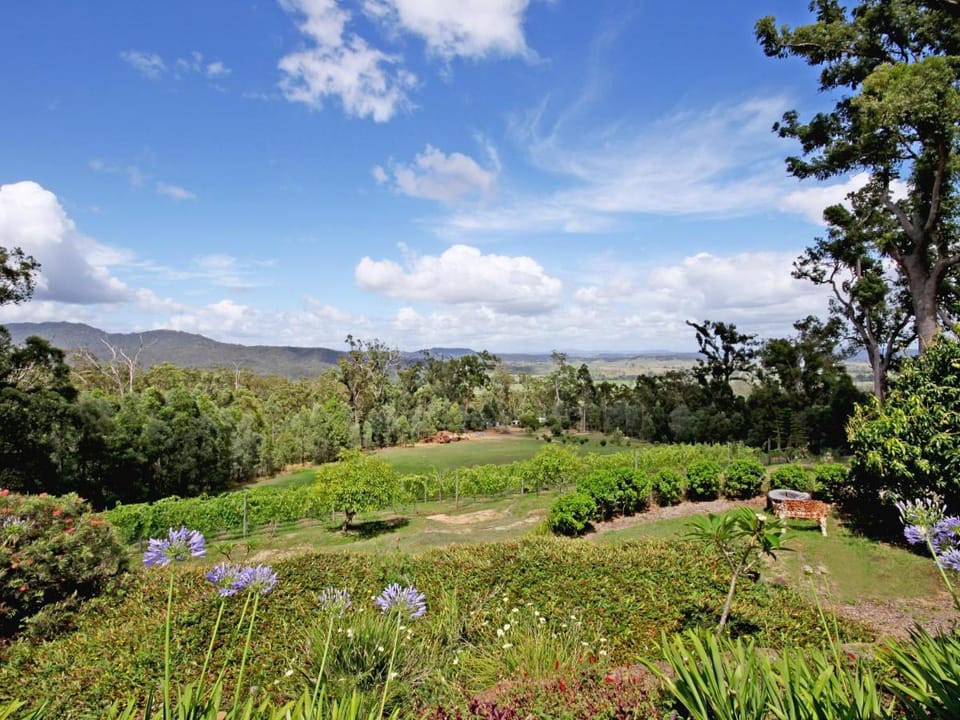 Wallaby Ridge Retreat Bed and Breakfast in Tamborine Mountain