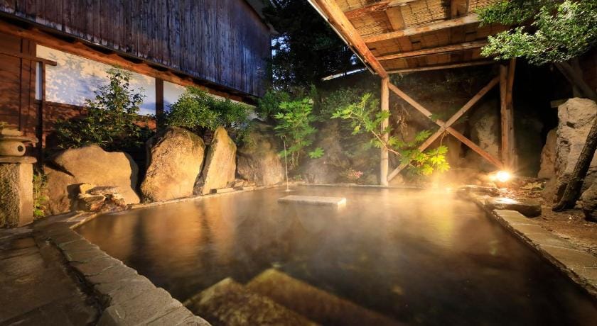 Yudanaka Seifuso Hotel Ryokan in Shimotakai District