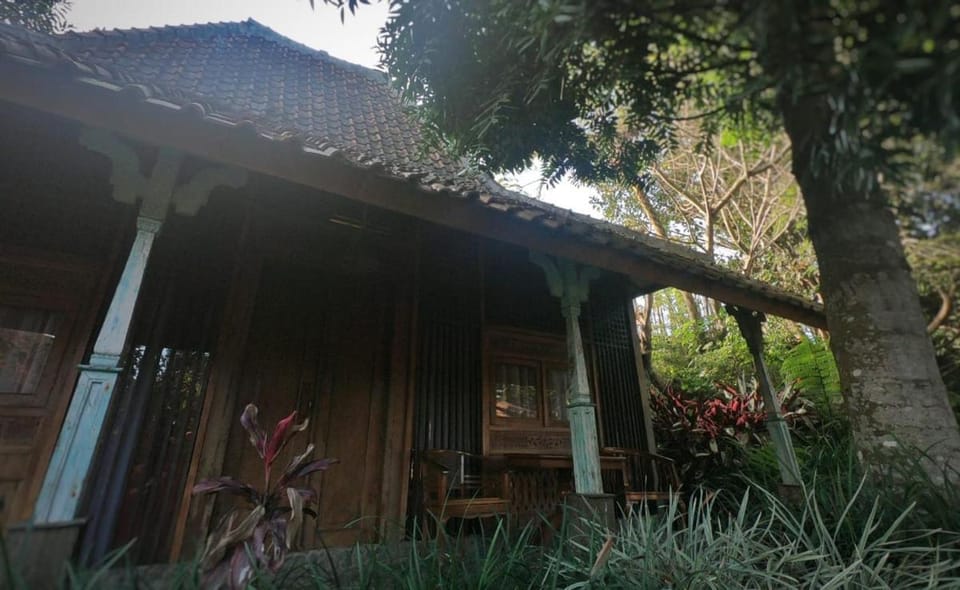 Sapulidi Cafe, Gallery & Resort Campground/ 
RV Resort in Parongpong