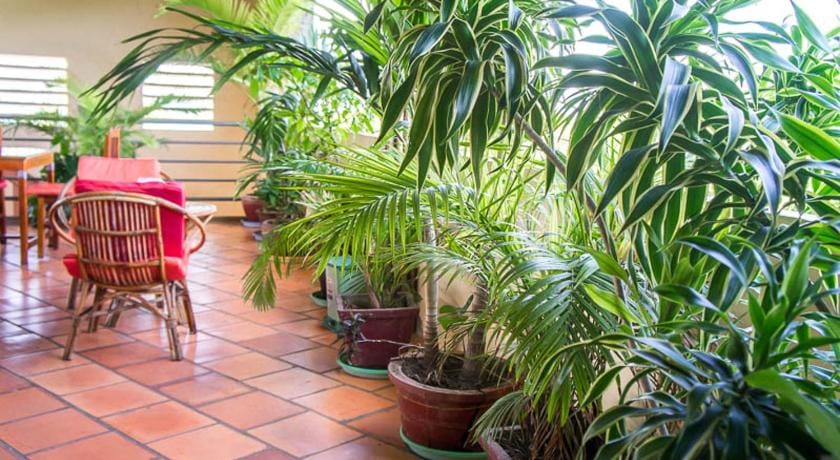 Visal Sak Guesthouse Bed and Breakfast in Kien Giang