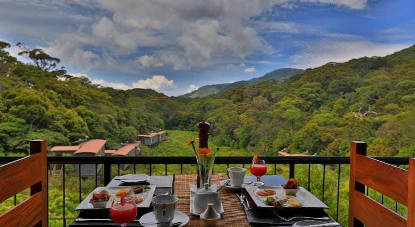 The Rainforest Ecolodge Resort in Southern Province
