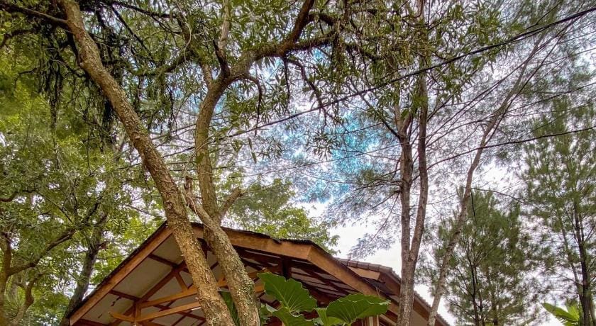 New Green Sentul Resort Hotel in West Java