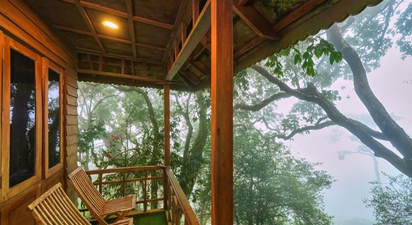 Nature Zone Jungle Resort Resort in Munnar