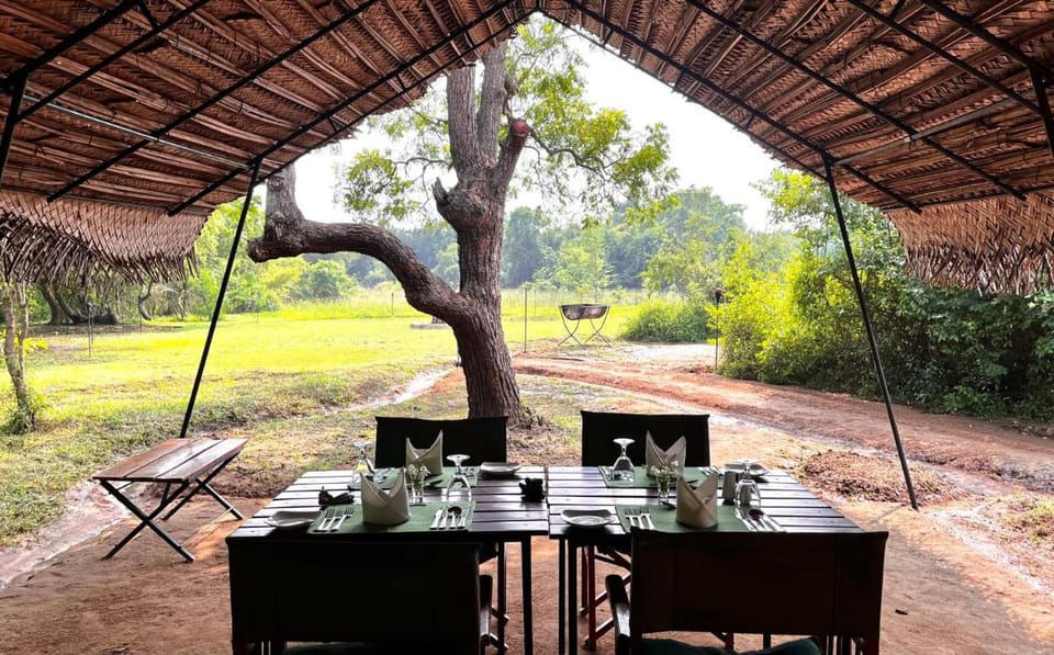 Mahoora Wilpattu - by Eco Team Campground/ 
RV Resort in Sri Lanka