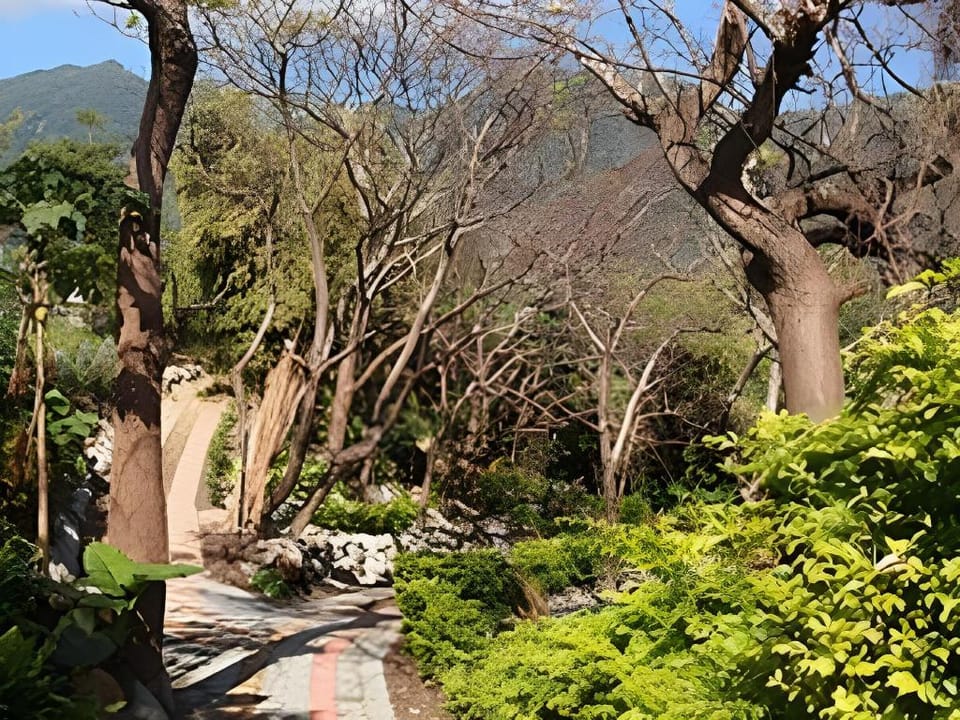 Lehuo Shoudo Moli Homestay Bed and Breakfast in Taiwan, Province of China