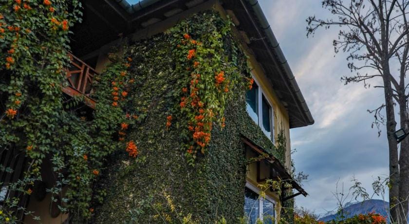 Hotel Seclude Palampur Villa in Punjab, India