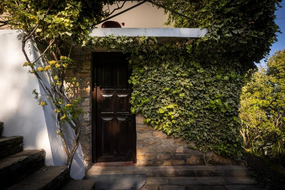 Avenida Snowcap Retreat Resort in Uttarakhand