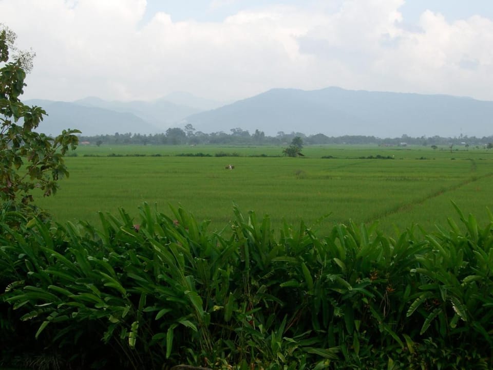 Rico Resort Resort in Laos
