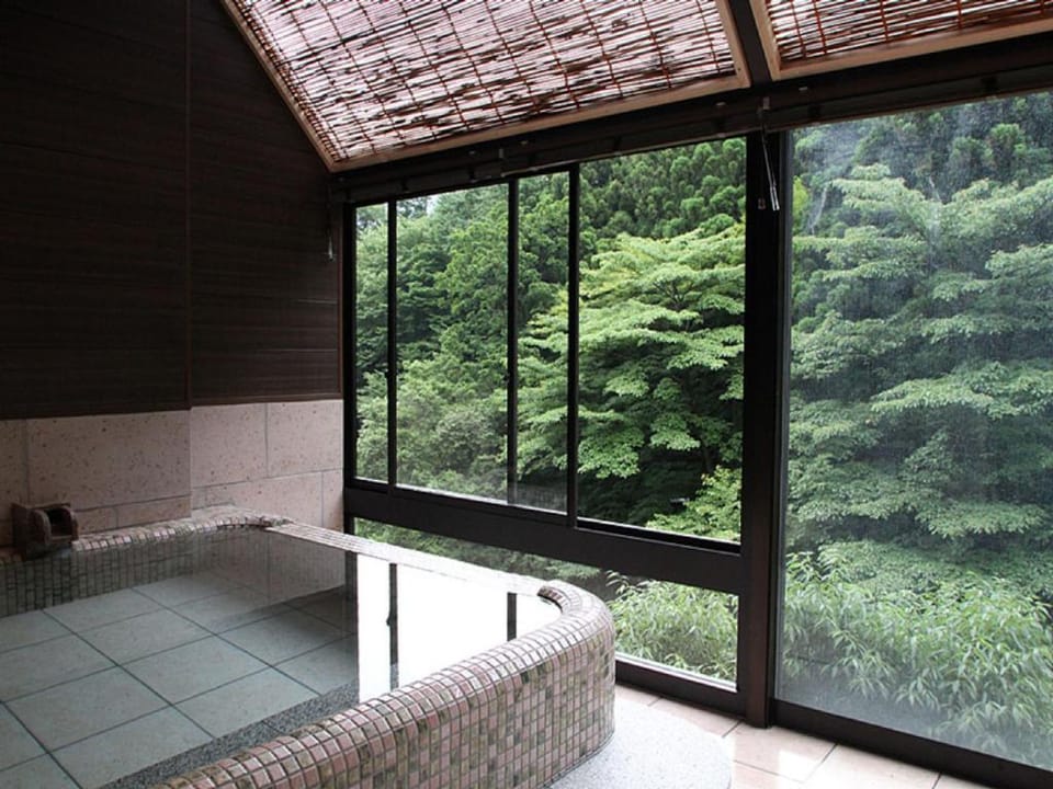 Art & Music Spa Resort Manatei Hakone Hotel in Hakone