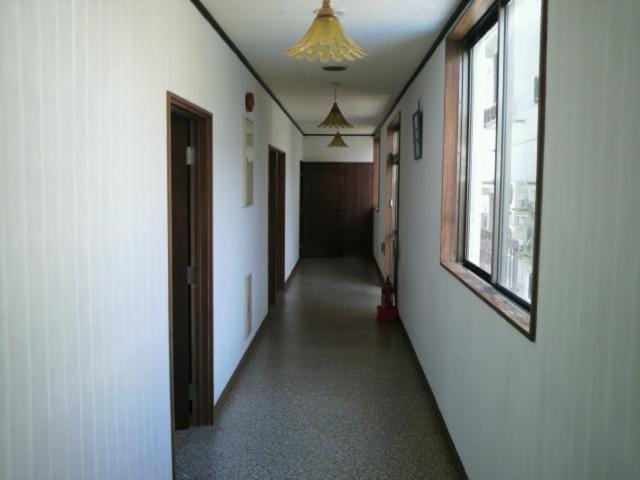 Lodge Ueno Ski Bed and Breakfast in Nozawaonsen