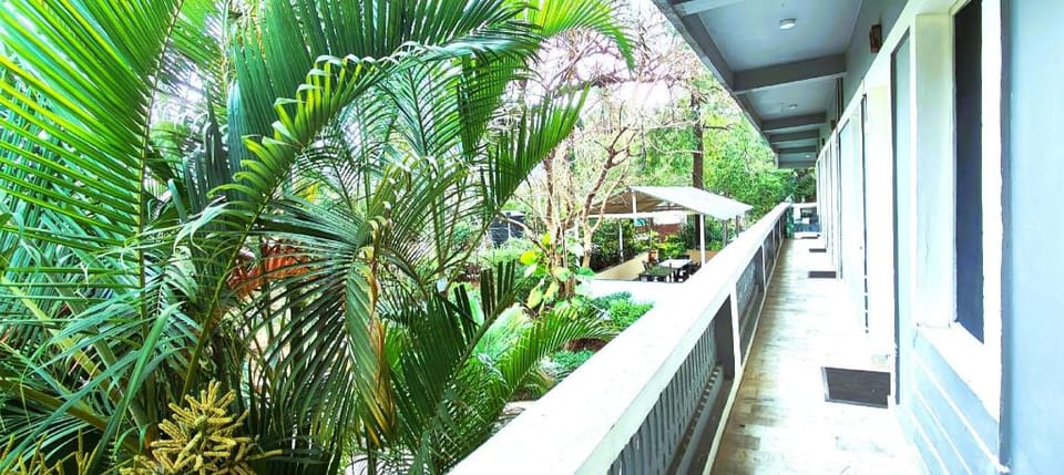 Rising Sun Retreat Bed and Breakfast in Gujarat