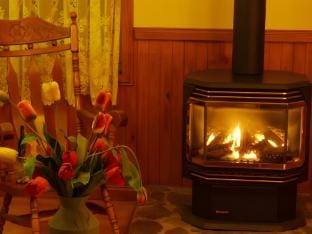 Gracehill Accommodation Vacation rental in Olinda