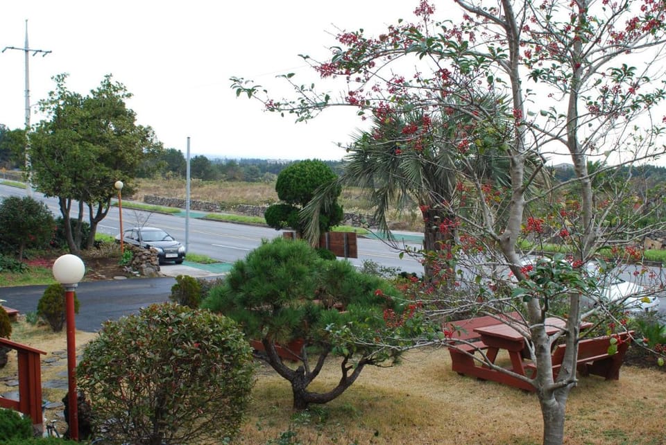 Yerae Pension Vacation rental in South Korea