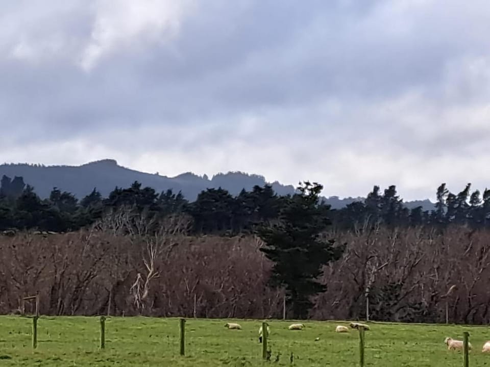 Gunyah Country Estate Vacation rental in Canterbury
