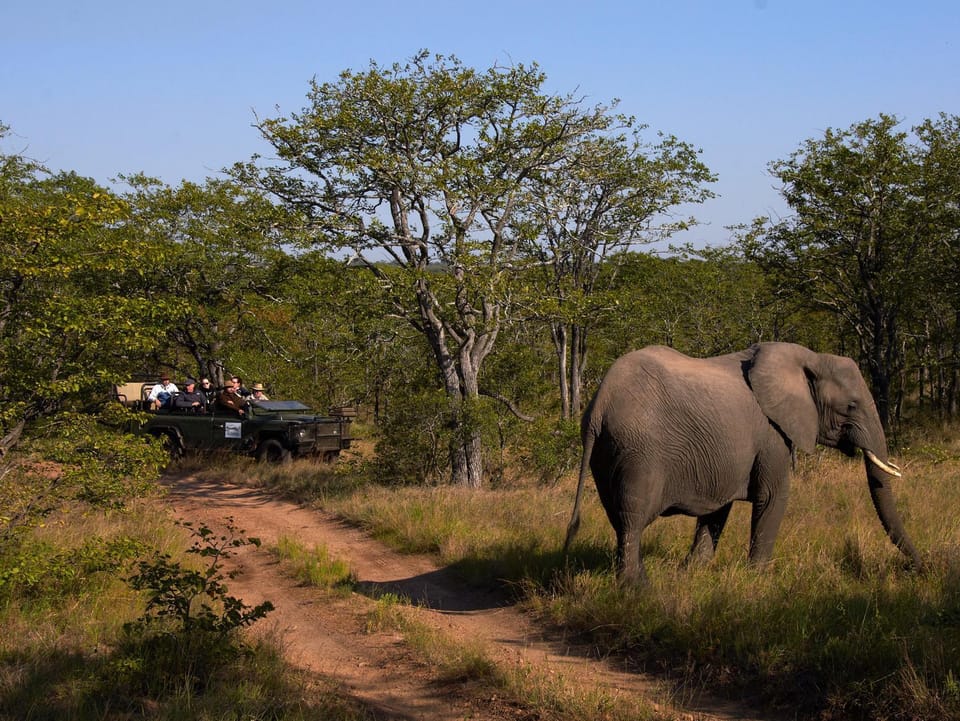 Shindzela Tented Safari Camp and Walking Safaris Accommodation Campground/ 
RV Resort in South Africa