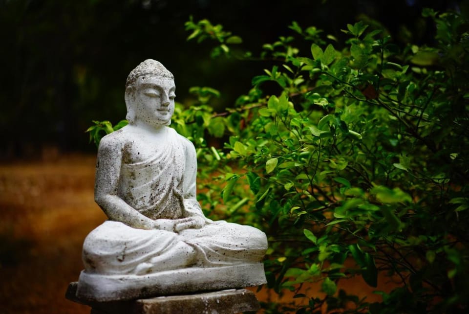 Waters Edge, Anuradhapura Villa in Sri Lanka