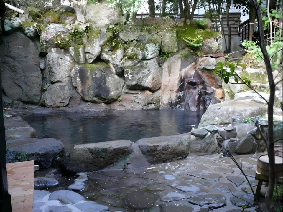 Seifuso Hotel in Fukuoka Prefecture