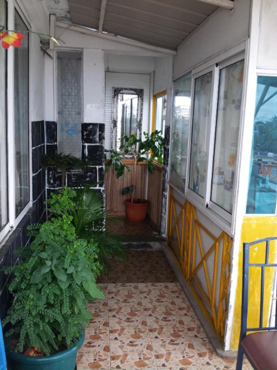 Le Bamboo Guesthouse Bed and Breakfast in Mauritius