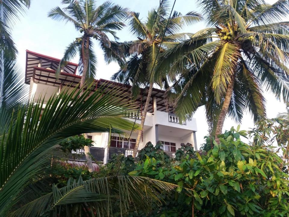 Peacock Wings Guest House Bed and Breakfast in Mirissa