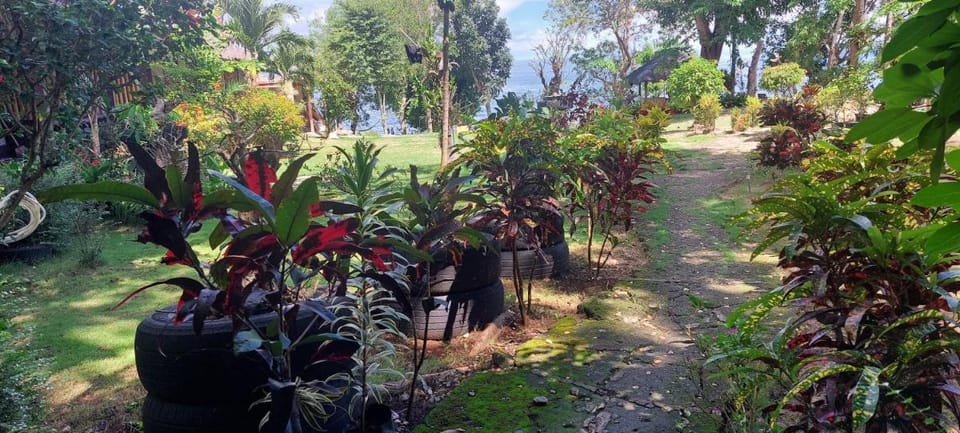 Bohol-Lahoy Dive Resort Resort in Central Visayas