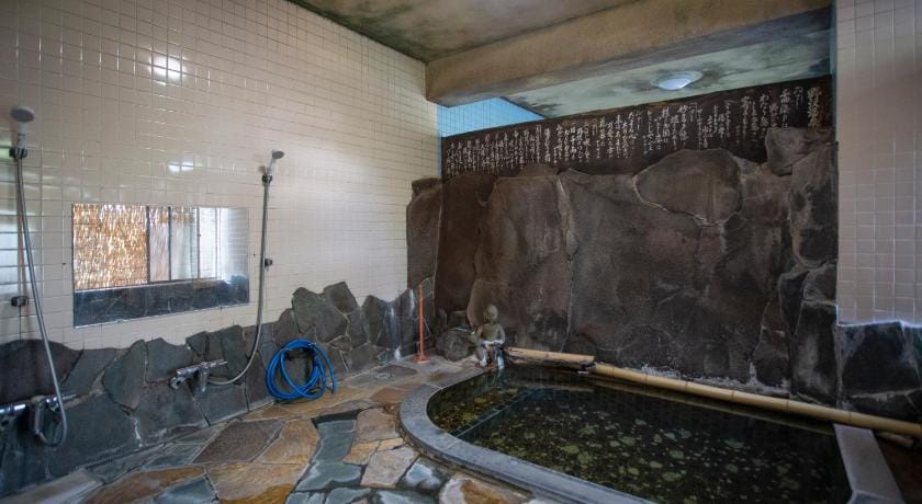 Guest House Seisenso Bed and Breakfast in Nozawaonsen