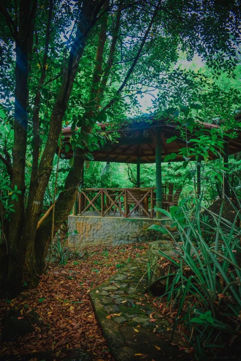 Sinharaja Rest Bed and Breakfast in Southern Province