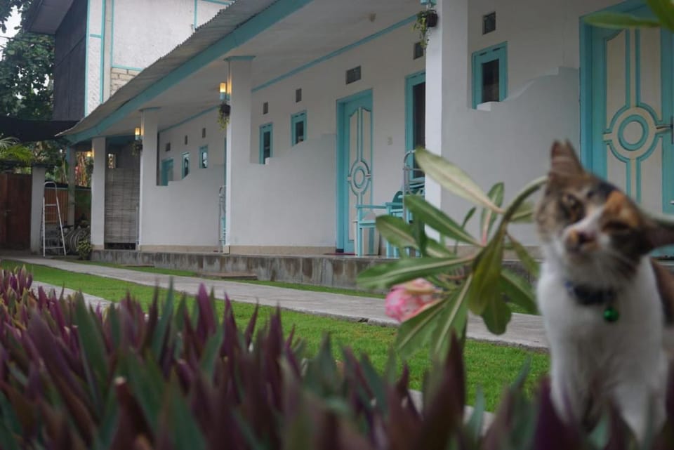 Rose Homestay Vacation rental in Pemenang