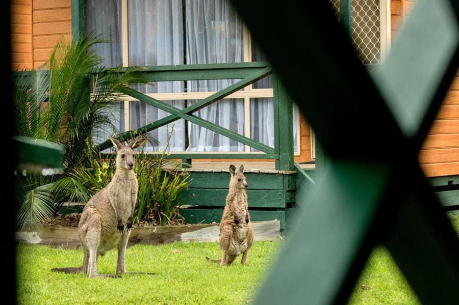 BIG4 Moruya Heads Easts Dolphin Beach Holiday Park Campground/ 
RV Resort in New South Wales