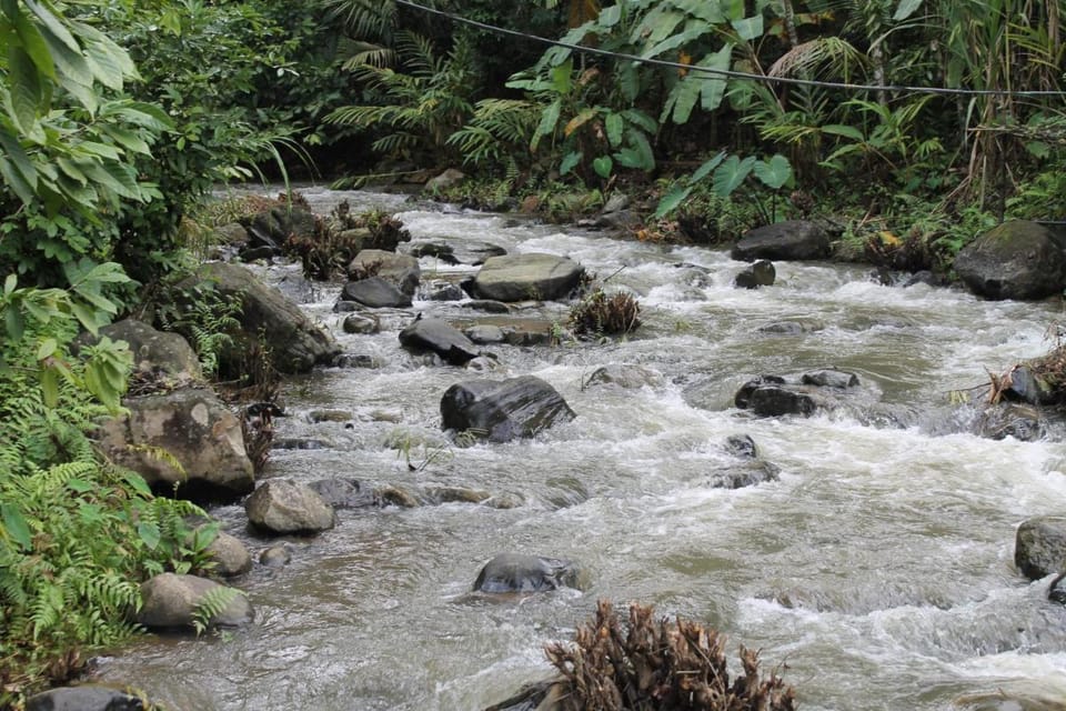 Raj Estate Stay Vacation rental in Kerala