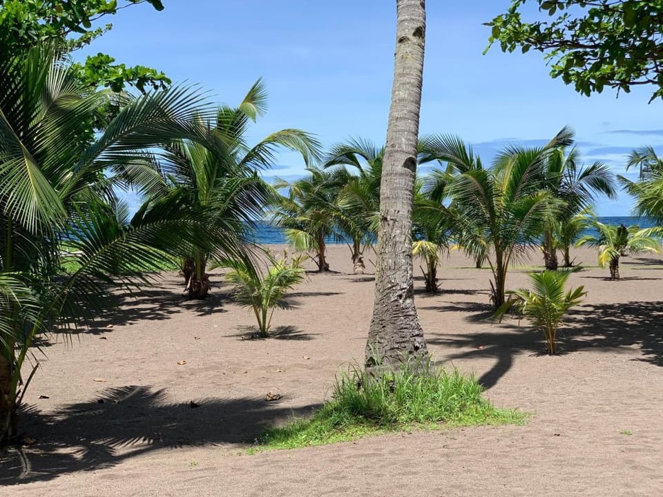 SomeWhere Else Boutique Resort Resort in Northern Mindanao