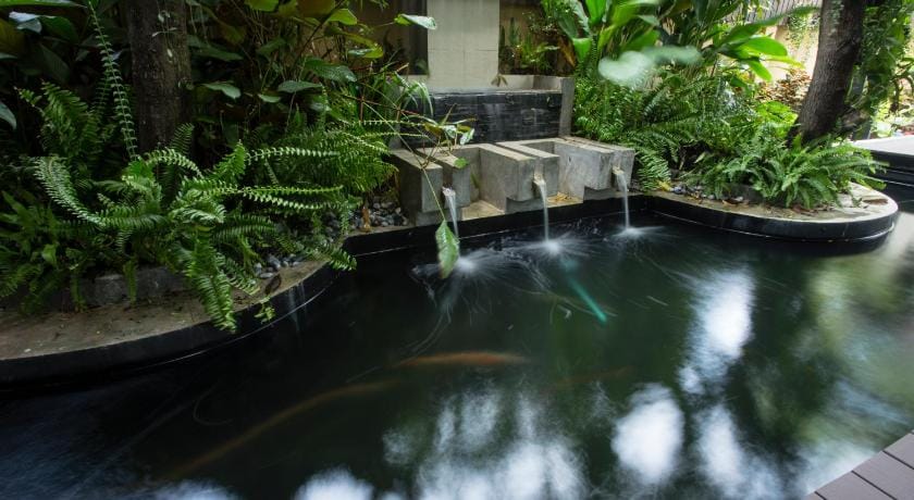 Third Rock Hostel Bed and Breakfast in Bangkok