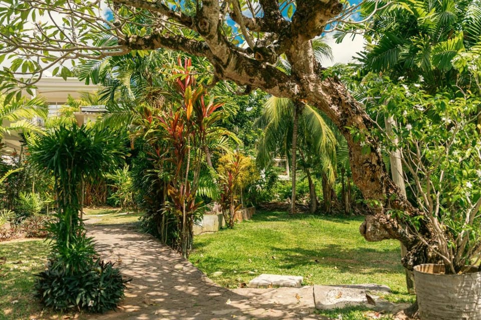 Beau Vallon Bungalows Bed and Breakfast in Africa