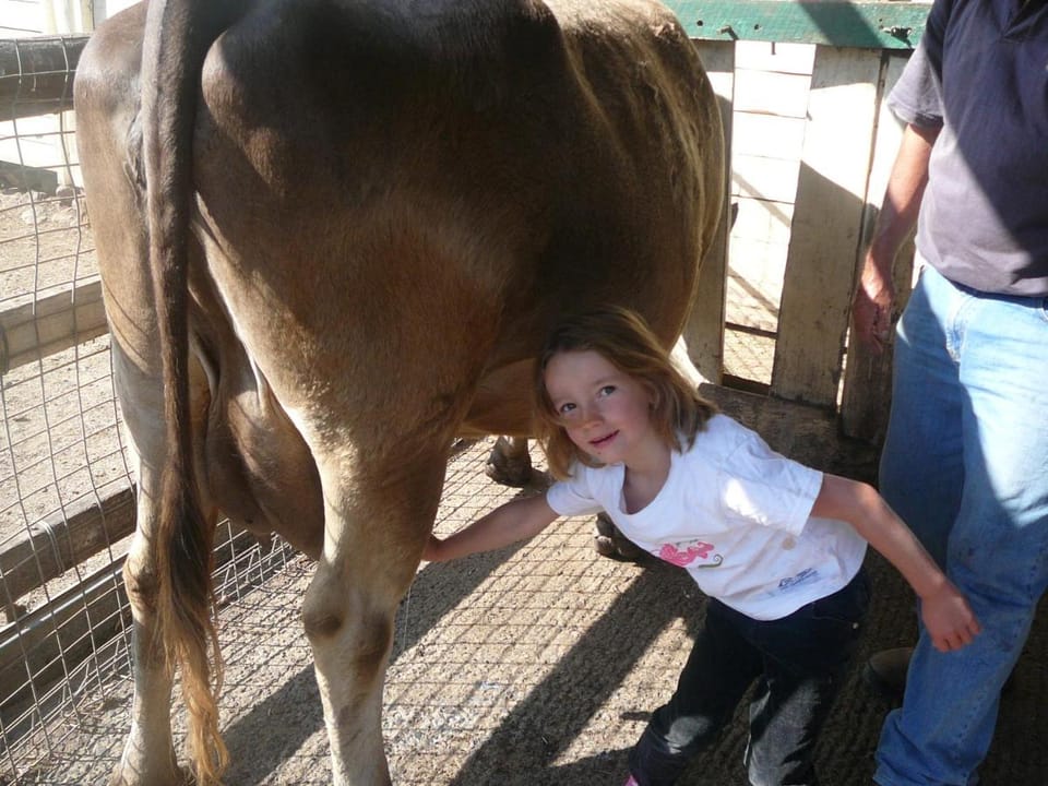Bestbrook Mountain Farmstay Farm Stay in Queensland