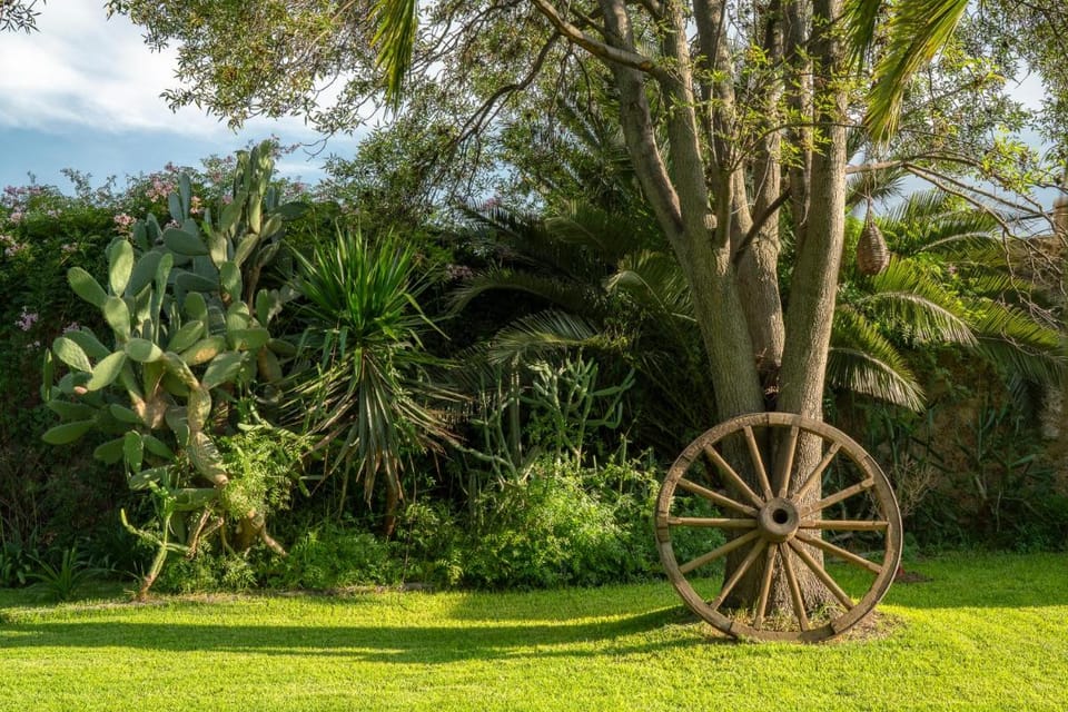 Posada Colibri - Hotel & Spa Hotel in Hidalgo, Mexico