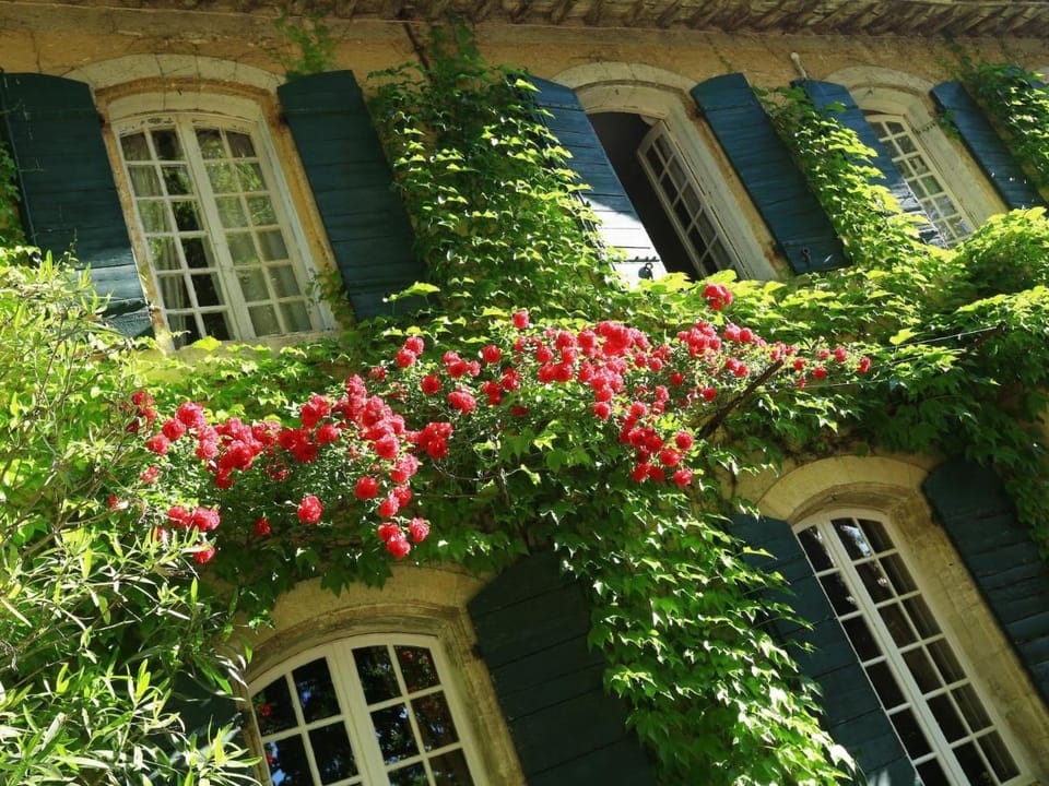 B&B Domaine de Rhodes Bed and Breakfast in Villeneuve-lès-Avignon