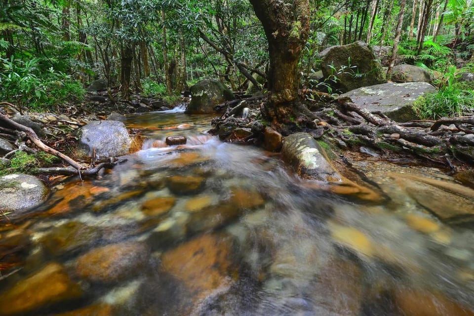 Daintree Cascades Vacation rental in Diwan