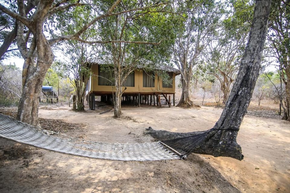 Yala Safari Camping Hotel Luxury tent in Southern Province