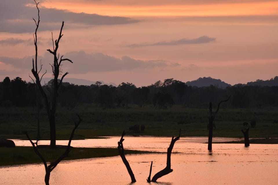 Explorer by Eco Team - Dambana Luxury tent in Uva Province, Sri Lanka