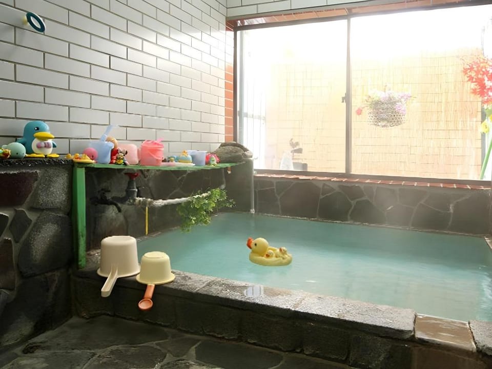 Kusatsu-Onsen Pension Mitomo Bed and Breakfast in Nagano Prefecture