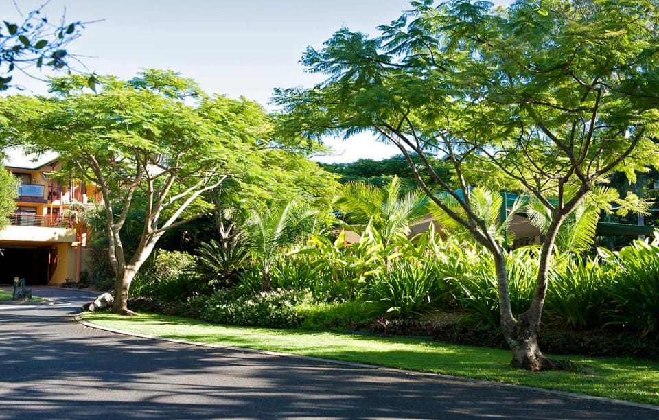Byron Links Apartments Apartment hotel in Byron Bay